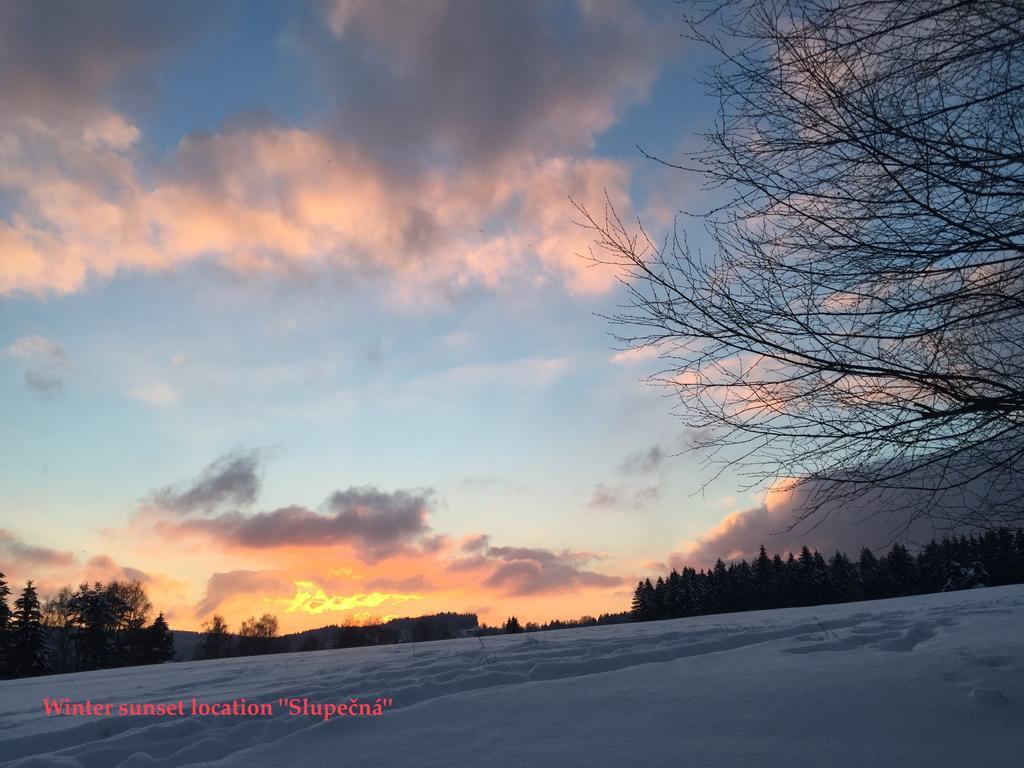 Apartman Martin Lipno nad Vltavou Bagian luar foto