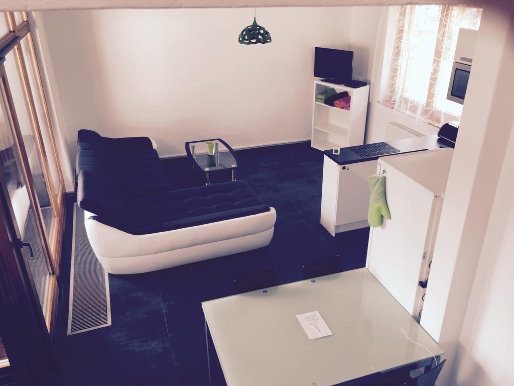 Apartman Martin Lipno nad Vltavou Ruang foto