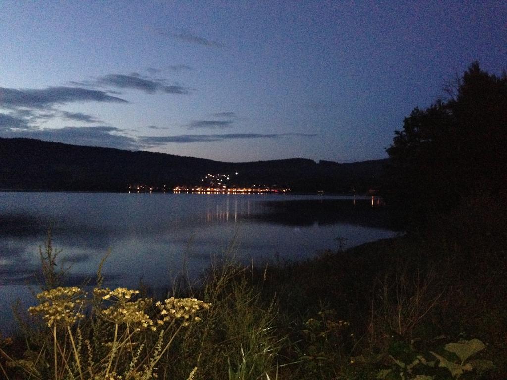 Apartman Martin Lipno nad Vltavou Ruang foto