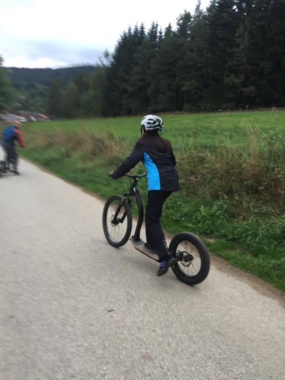 Apartman Martin Lipno nad Vltavou Bagian luar foto