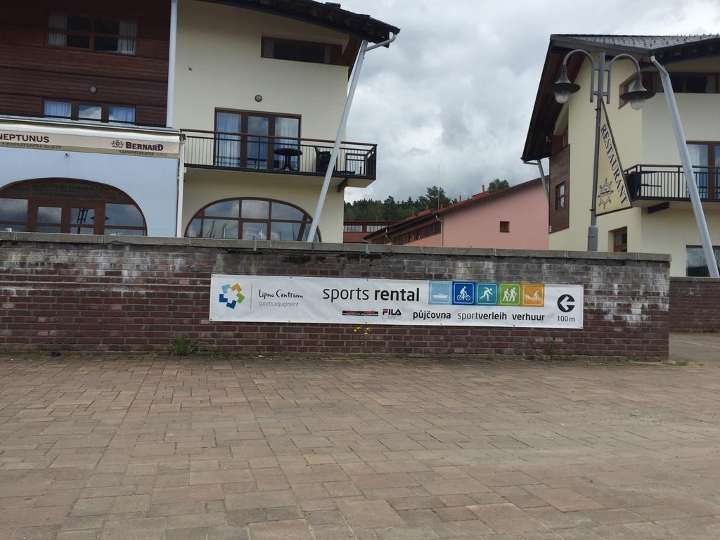 Apartman Martin Lipno nad Vltavou Bagian luar foto