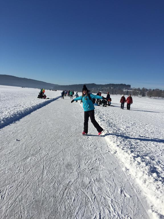 Apartman Martin Lipno nad Vltavou Bagian luar foto